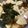 クックGXY3W☆'s cooksnap of when they made 筍とわかめの煮物.｡*♡.