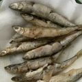 クックOS6YTL☆'s cooksnap of when they made 小魚のから揚げ.