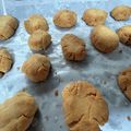 ぺこ３３３３'s cooksnap of when they made ちんすこう(HMでかんたんおやつ♪).