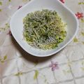 くネコまろす's cooksnap of when they made あおのり磯焼きラーメン.
