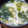 ﾋﾟﾛﾐ♡'s cooksnap of when they made 簡単☆玉ねぎとわかめのお味噌汁.