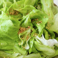 ヨシヨッシー's cooksnap of when they made ☺簡単♪ゆず風味の和風ドレッシング☺.