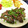 erinngorou's cooksnap of when they made おうち居酒屋ハツの柔らかネギ塩だれ炒め.