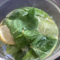 ☆lalapin☆'s cooksnap of when they made 水だし♪ミントウォーター/ミントティー.