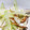 はなまるまんま's cooksnap of when they made ちくわとセロリの塩きんぴら.