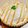 papikun's cooksnap of when they made ☆キャラメルバナナのタルト☆.
