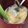Ｎeru's cooksnap of when they made 一番美味しいセロリの食べ方.