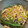 saki1010's cooksnap of when they made 豆もやしとえのきのピリ辛炒め.