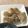 料理上達中's cooksnap of when they made バサのゴマゴマ焼き.