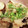 うが11's cooksnap of when they made なすの甘酢みぞれ炒め.
