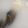 クックZTZ10H☆'s cooksnap of when they made ●母直伝●生の筍、下処理〜茹で方.
