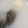 クックZTZ10H☆'s cooksnap of when they made ●母直伝●生の筍、下処理〜茹で方.