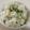 papikun's cooksnap of when they made 簡単☆ネギ飯.