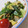 和田ゆうこりん☆'s cooksnap of when they made スピード料理.レタスと卵でふわふわ炒め.