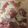 クックSY6YS8☆'s cooksnap of when they made 野菜たっぷりな冷しゃぶサラダ♪.