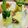 クックYWDLWA☆'s cooksnap of when they made 生ハムとルッコラのクレープ.