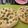 natsu614's cooksnap of when they made ソムリエも絶賛♪HBで簡単フォカッチャ♡.
