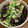 クックHDP0M2☆'s cooksnap of when they made 簡単!揚げない揚げ出し豆腐.