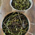 糠に釘入れたら's cooksnap of when they made わらびのあく抜きと長期保存.