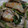 yukari1968's cooksnap of when they made 豆苗と舞茸の炒め物.