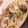 クックDCDGTN☆'s cooksnap of when they made あさりと春キャベツのミルク蒸し♪.