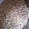 くみ茶☆'s cooksnap of when they made 基本の下ごしらえ｜乾燥大豆の戻し方＆保存.