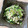 クック6KOJSH☆'s cooksnap of when they made 簡単に作り置き！えのきのマヨナムル♡.