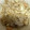 クックCAWASC☆'s cooksnap of when they made もやしとエノキのバター醤油炒め.