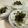 papikun's cooksnap of when they made ネギ大量消費☆家系！？俺のねぎめし.