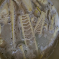 クックるん☆戦隊's cooksnap of when they made 筍の下処理.