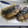 miyuki12's cooksnap of when they made カルシウムを取ろう！簡単♡鰯の蒲焼き♡.
