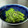 クックD6KVC7☆'s cooksnap of when they made めんつゆで簡単！タラの芽のおひたし.