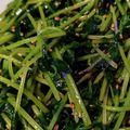 ペロキャン★ママン's cooksnap of when they made 豆苗の塩昆布和え.