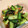 クック5XNRSR☆'s cooksnap of when they made 小松菜の☆おかか炒め.