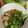Miaaaaaaam's cooksnap of when they made 山形のばあば直伝！ひっぱりうどん.