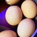 ふぁんころ's cooksnap of when they made 漬け込まない＊おばあちゃんの味付け卵.