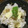えりびっき's cooksnap of when they made タケノコと茎わかめの炊き込みご飯.