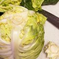 さんちゃん（╹◡╹）'s cooksnap of when they made キャベツは外葉で包んで保存がおすすめ.