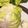 さんちゃん（╹◡╹）'s cooksnap of when they made キャベツは外葉で包んで保存がおすすめ.