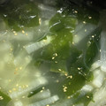 kirakirask's cooksnap of when they made 簡単☆大根とわかめの中華スープ.