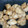クックB2RCWT☆'s cooksnap of when they made 【学校給食】ホキのごまがらめ.