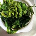 ひっこ's cooksnap of when they made 生わかめ人気検索NO.1♚茹で方と食べ方.