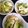 さとるぅ。's cooksnap of when they made 簡単♥︎春キャベツの塩昆布サラダ.