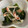 クックHDP0M2☆'s cooksnap of when they made きゅうりともやしの中華サラダ。簡単☆.