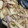 ﾌﾞﾚﾝﾀﾞ's cooksnap of when they made もやしの保存.