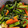 pink0922's cooksnap of when they made ちぢみ菜とにんじんのごま和え.