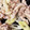 ふぁんころ's cooksnap of when they made 厚切り豚バラの塩こしょう焼き.