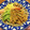 cucuがんも's cooksnap of when they made 冷やしきつね蕎麦ちらし.