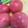クックR6XY92☆'s cooksnap of when they made 簡単トマトの皮むき♪炙るだけ.