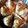 aquaqu_cat's cooksnap of when they made 【簡単】中華ちまき包みかた〜テトラ型〜.